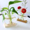 Office Decor Home Decoration Flower Arrangement Glass Vase Hydroponic Flower Vase Plant Flower Pot