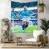 Haaland Custom Your Name Wall Decor Tapestry Art For Pet Memorial Birthdaywedding Party Backdrop Family Gift