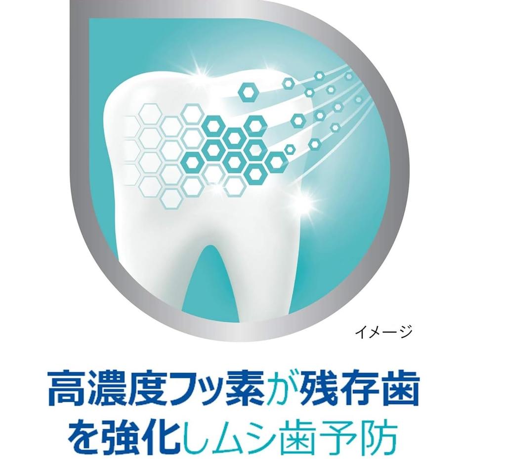 [Earth Chemical] Polident Dental Lab Medicated Toothpaste 100g x 5 pack