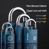 Plum Blossom Waterproof Mini Padlock for Doors, Gates, Dormitory Lockers, and Warehouses with Anti-theft Copper Cylinder.
