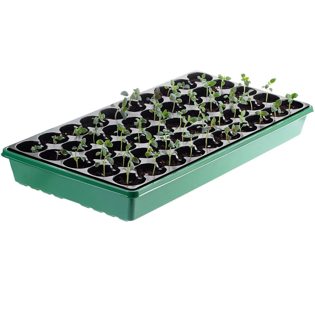 KADAX Large Mini Greenhouse, Mini Greenhouse, Greenhouse, 50 Cells, Germination Box
