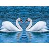 Swan Animal DIY 5D Diamond Painting Full Round Resin Mosaic Cross Stitch Kit Diamond Embroidery Picture Rhinestone Home Decor