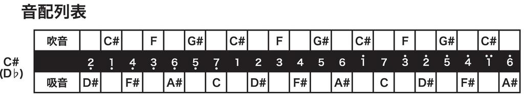 TOMBO Double Note Harmonica Tone Premium 21 Holes 3521 C#