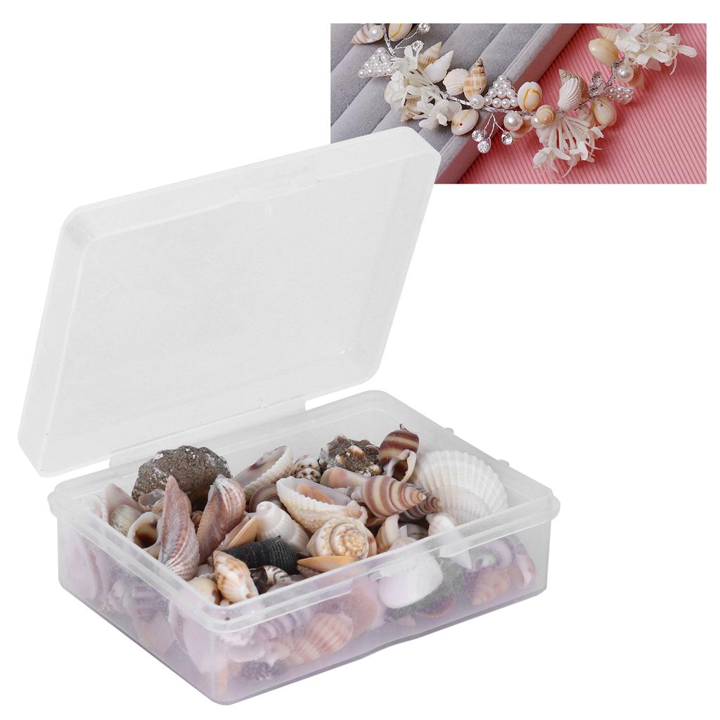 Jewelry Craft DIY Shell Sea Snail Set Natural Seashell Conch Wedding Home Decoration