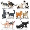 EYSCOTA CAT Фигурка животного Пластиковый набор животных для детей Набор, 12 штук