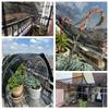 75% Shade Black HDPE Sunshade Net Anti UV Succulent Plants Sun Shelter Mesh Balcony Terrace Safty Privacy Screen Outdoor Awning