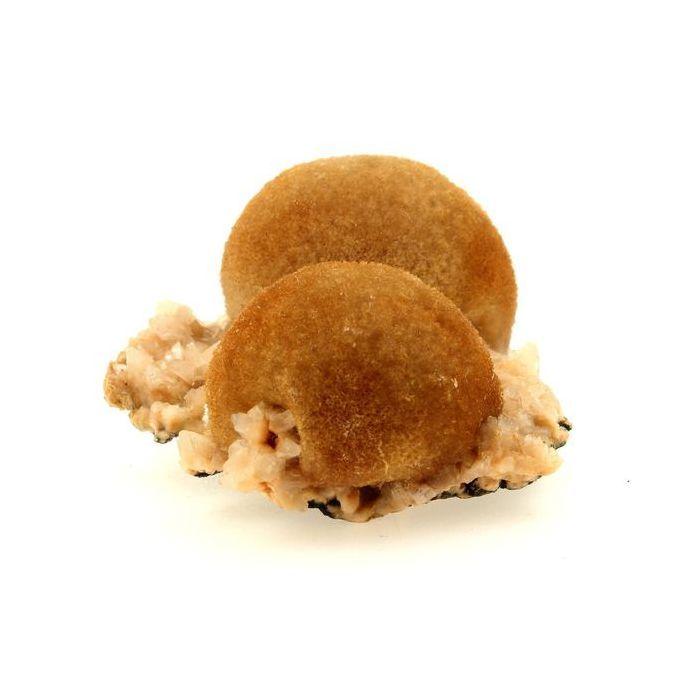 Thomsonite 182.0 carats