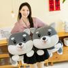 Cute Husky Plush Pillow Doll Toy, Leg Pillow, Nap Artifact, Bedside Ornament, Birthday Gift.
