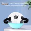 Water Weights Aqua Bag with Handle Transparent PVC Fitness Water Ball Weighted Inflatable Strength Training Sandbag Alternative Exercise Water-Filled