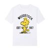 Woodstock Vintage Tshirt 3 Days Peace Music Colorful Logo Guitar Bird Cotton Men T shirt New Tee Tshirt Womens Tops