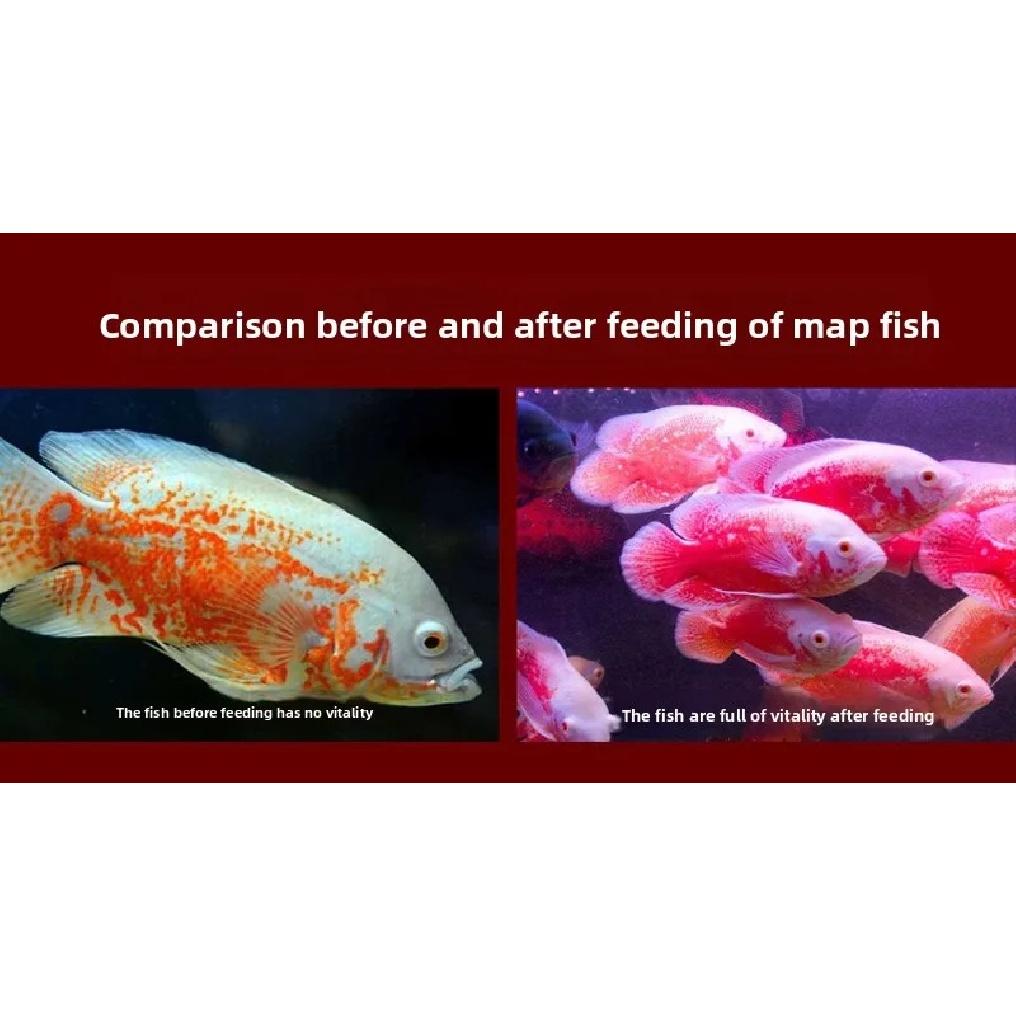 LONGNIAN Oscar Fish Food - Floating Color Enhancing Pellets with Astaxanthin (Small Size for Tropical Cichlids)