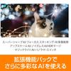 SourceNext Добавлена функция Luminar Neo Программное обеспечение для редактирования изображений с искусственным интеллектом Совместимо с Windows и Mac (версия ИИ) (Последняя версия)