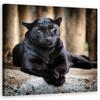 Canvas Print Black Panther