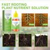 Plant Growth Enhancer Supplement for Promotes Rooting Concentrated Magic Fertilizers Solution for Promote Photosynthesis