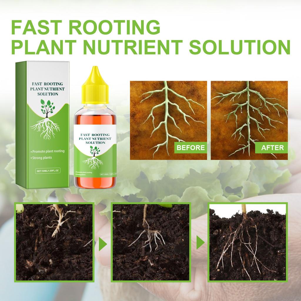 Plant Growth Enhancer Supplement for Promotes Rooting Concentrated Magic Fertilizers Solution for Promote Photosynthesis