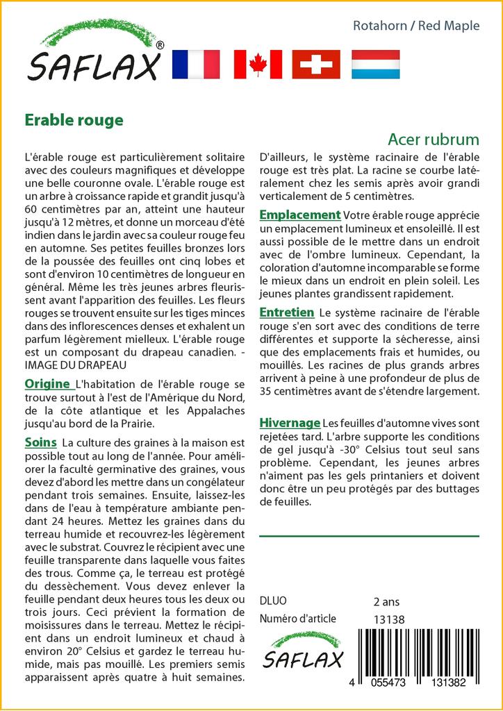 SAFLAX Клен красный - 20 семян - Acer Rubrum