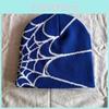 Hip Hop Inspired Knit Cap With Spider Web Embroidery Design For Casual Wear