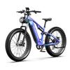 DUOTTS E26 Electric Bike 26" 750W Motor 48V20Ah Battery 55km/h Max Speed 120km Max Range Torgue Sensor