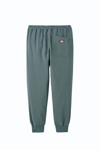 Джоггеры Dickies