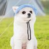 Pet Outdoor Supplies Large And Small Dogs And Cats Sunshade Dew Ears Puppy Cap Headwear,S