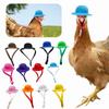 New Chicken Hat For Hens Tiny Pets Funny Chicken Accessories Hen Top Hat For Rooster Duck Parrot Hamster Poultry Stylish Show Costum