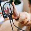 (новый)-Увеличительное стекло hands-free для шитья, гибкое увеличительное стекло на гибкой стойке для чтения пожилыми людьми, людей с пониженным зрением, для работы вблизи