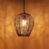 'Glamorous Mesh' Iron Wall Pendant Light for Living Room & Ceiling Hanging Lights for Home Decoration (Without Bulb)