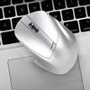 W12 USB 2.4G Wireless Silent Computer Mouse Ergonomic Design Silver