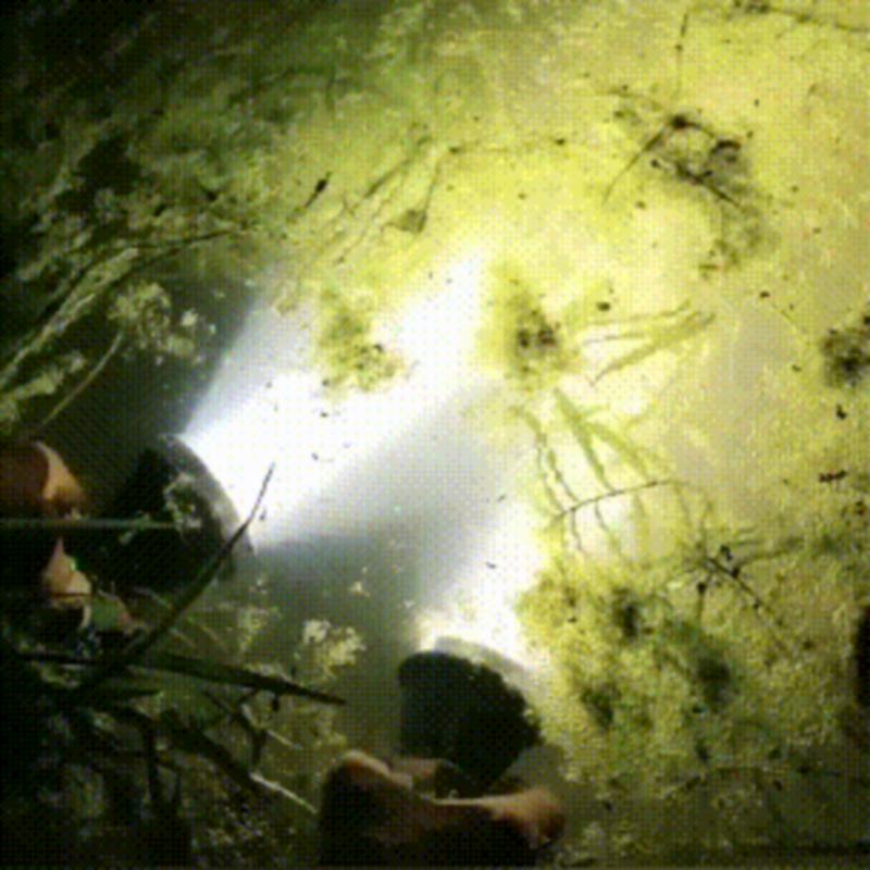 Фонарик Светодиодный фонарик высокой мощности USB-освещение Recharg