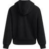 Under Armour Icon Pullover флисовая тренировочная толстовка с длинным рукавом женская толстовка черная 1386485-001