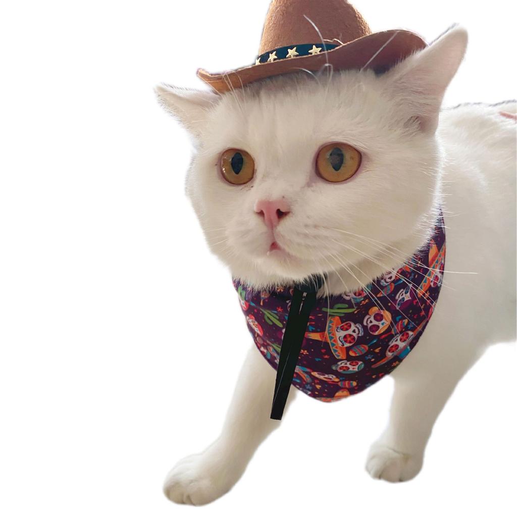 Fashion Cowboy Hat for Cats Dogs Festival Party Pet Cowboy Cap Puppy Costume Lovely Tiny Top Hat Headgear for Teddydogs