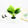 Epipremnum Aureum Simulated And Dasheen Leaves Potted Artificial Ornaments Plant