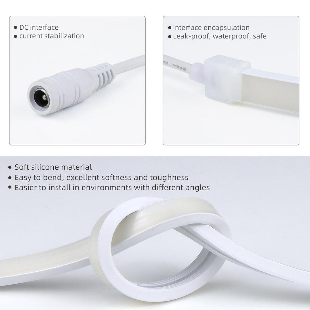 DC 24V Neon Light LED Strip with RF Remote Control Touch Switch 320LED/M Flexible Rope Tube Lamp For Home Christmas Decor With EU or US Plug