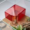 Translucent Reptile Hide Cave Breathable Visible Shelter House Lizard Acrylic Shelter Pet Breeding