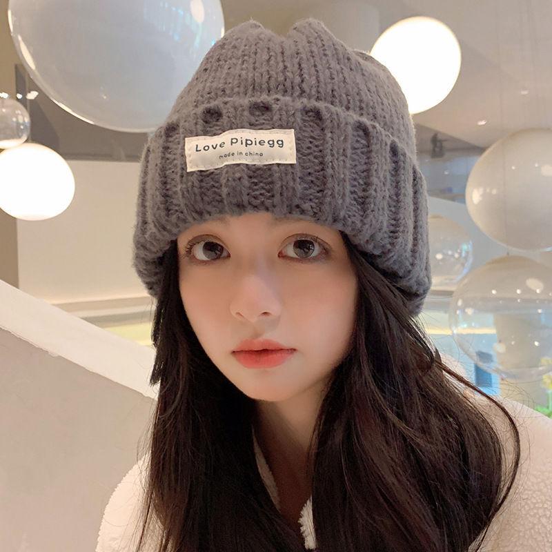 College Style Knitted Hat For Women With Warm Fleece For Winter Outdoor Activities