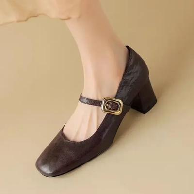 Модные женские туфли Мэри Джейн с квадратным носком Туфли-лодочки 2024 Весна Высокий каблук с пряжкой Ремешок Дизайнерское серебристое офисное платье