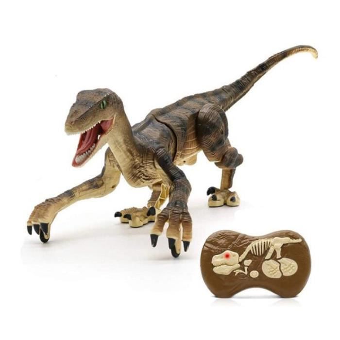 Remote Control Dinosaur - SHOP-STORY - Velociraptor - 50 Cm - Lights - Sounds