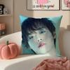 Handsome Talented Korean Idol PPark JiHoon Cushion Cover Pillowcase Short Plush Invisible zipper Room Sofa Cushion Cover