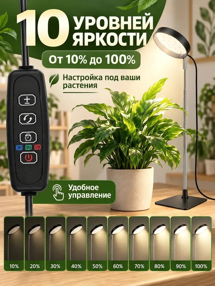 Phyto Lamp