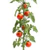 KADAX Aluminum Spiral Plant Pole 180cm 10pcs