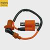 High-Voltage Ignition Coil for CG125/150/250 Off-Road & Beach Motorcycle/ATV