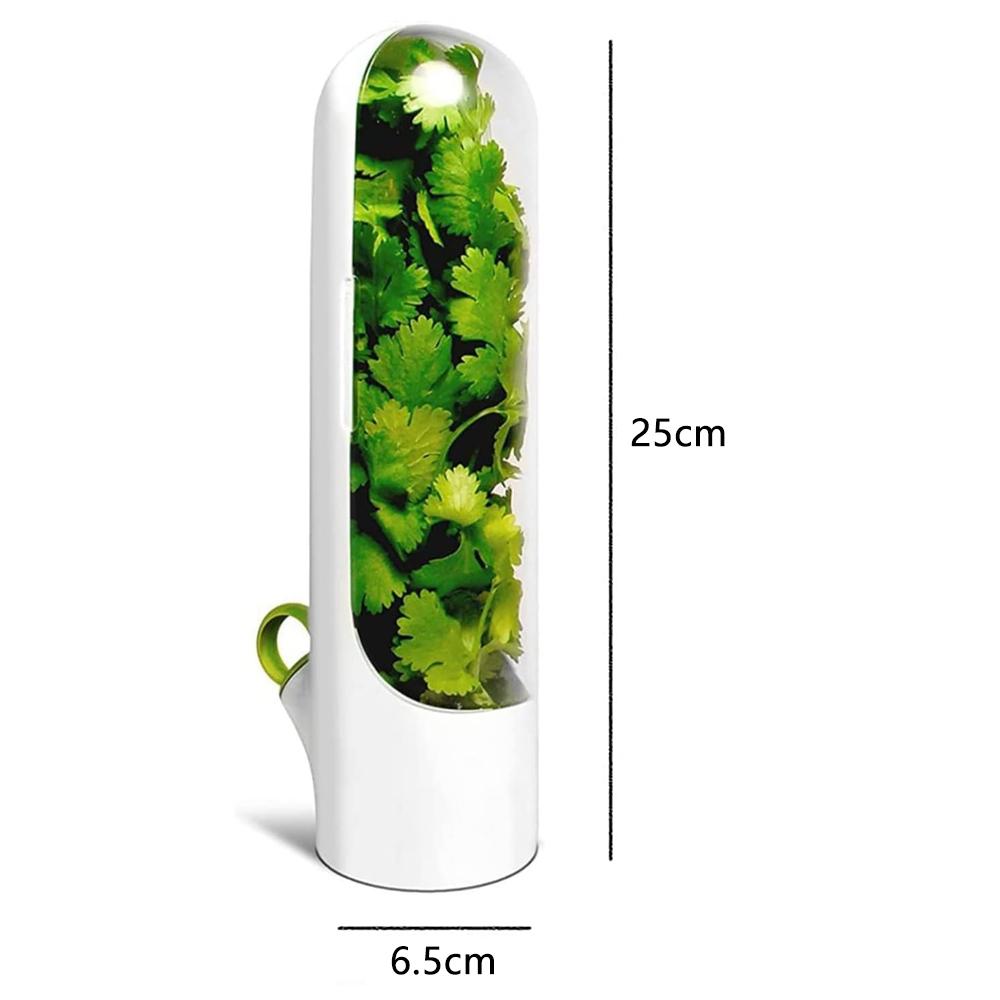 НОВЫЙ контейнер для хранения зелени для холодильника для кинзы, спаржи, сохраняет овощи свежими