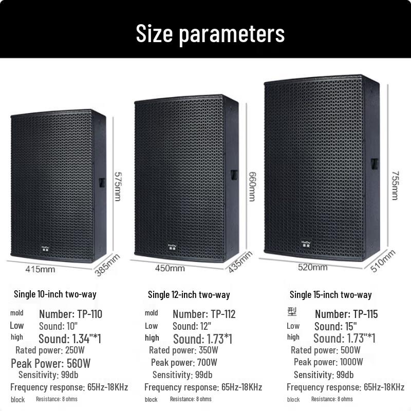 Huido 12-inch Professional Full-Range Conference Speaker