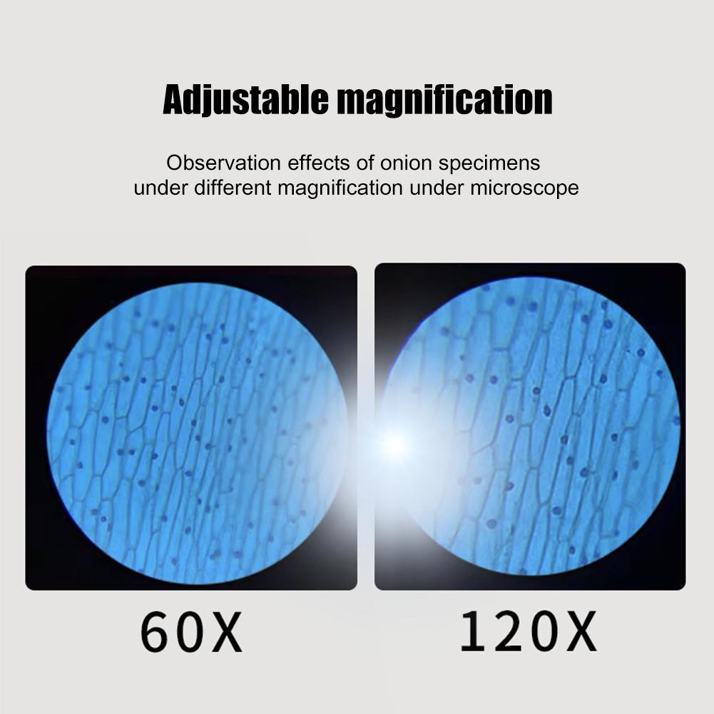 Handheld Pocket Microscope 60-120X Educational Science Microscope Battery Powered Portable Mini Microscope Outdoor Children
