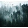 Nordic Wallpapers Forest Landscape Murals Living Room Bedroom Decor 3d Wallpapers
