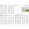 Lalabel Refill Labels, 168 Sheets, White or Clear (48 Condiments, 48 ??Spices & Herbs, 48 ??Cooking Ingredients, 24 Handwritten Free Labels, Cafe-Styl