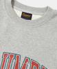 COLUMBIA UNIVERSITY Vtg Big Crack Heavy Terry Crew Neck_M.Gray