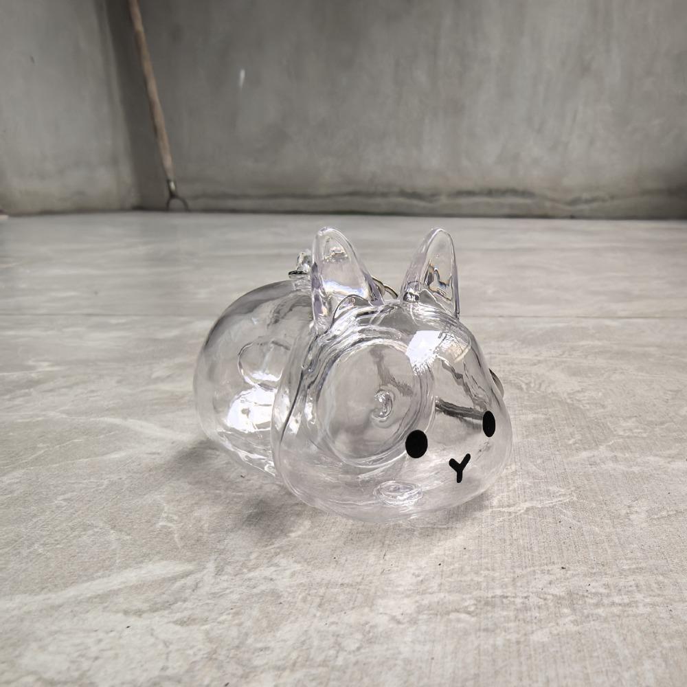 Keyrings Memorial Pet Hair Storage Keychain Transparent Rabbit Hair Storage Box Jewelry Gifts