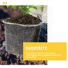 Металлическая сетчатая сумка Защита корней растений из нержавеющей стали Для сада Цветов Овощей Защита от крыс Кротов Полевок Барьер