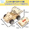 Apricity Craft Kit, Handmade Kit for Elementary School Students, Includes Japanese Instructions and Building Video (RC Model)
